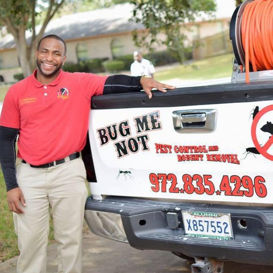 Bug Me Not - Rats, Bugmenot, Pest Control - Ec21 Mobile