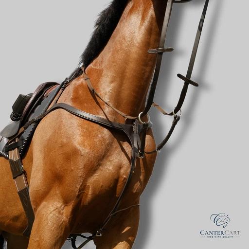 Canter Cart