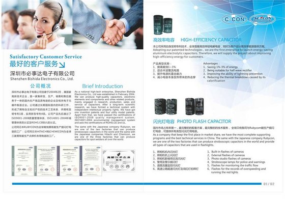 Shenzhen Bishida Electronics Co.,Ltd