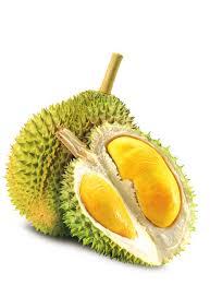 Fresh Monthong Durian From Vietnam - High Quality, Stable Supply, Competitive Price (HuuNghi Fruit)