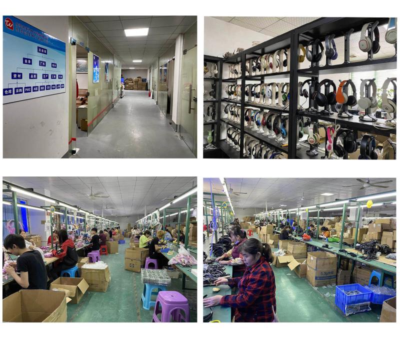 Dongguan Topwell Electronic Co.,LTD