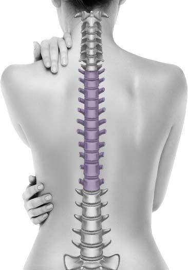 Middle & Low Back Pain Treatment and Relief