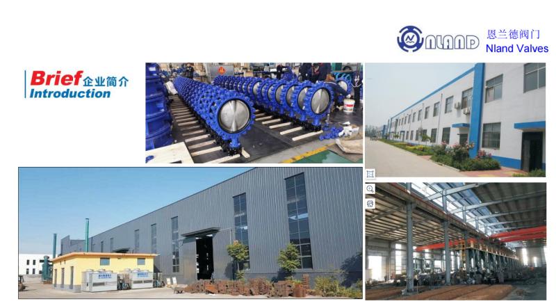 Qingdao Nland Industrial Co.,Ltd