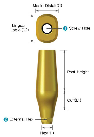 Milling Abutment | Medical Consumable | GOBIZKOREA.COM