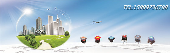 Dongguan Fvwin Electronics Co.,Ltd