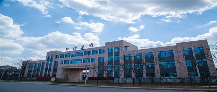Shandong Ningjin Xinxing Chemical Co.,Ltd