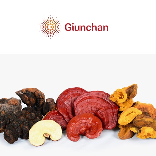 Giunchan Co., Ltd. - complex mushroom mycelium, medicinal mushroom ...