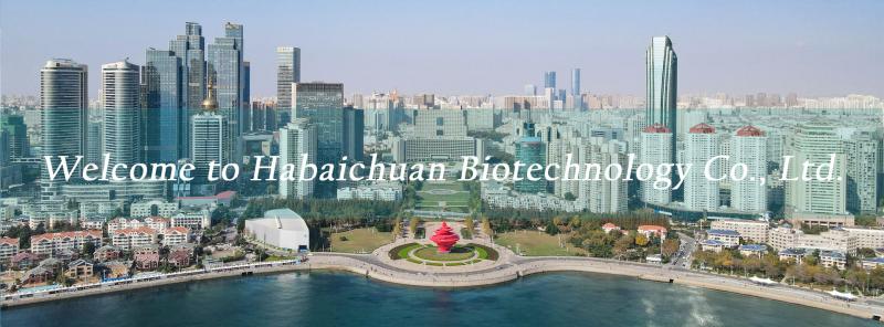 Haidabaichuan