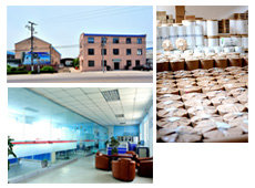 Shanghai Ruimei Packing Material Co.,Ltd 