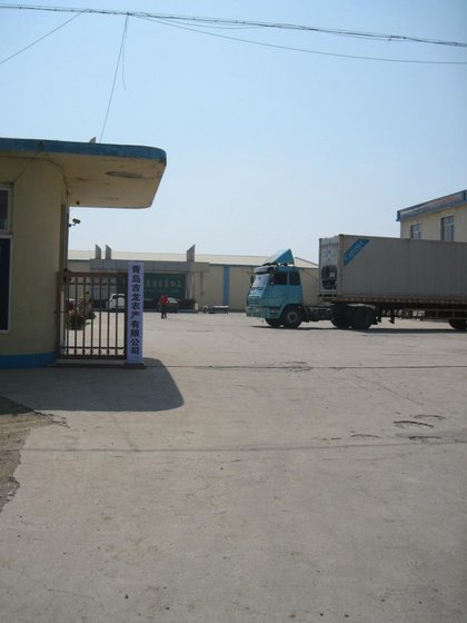 Qingdao Jilong Agricultural Products Co.,Ltd