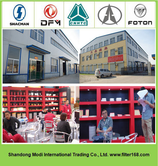 Shandong Modi International Trading Co., Ltd