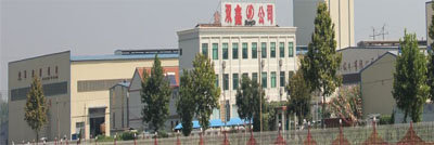 Shandong Xindefu Imp Exp Co., Ltd