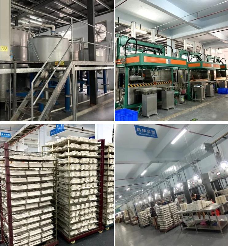 Dong Guan Kinyi Packaging Technology Co., Ltd