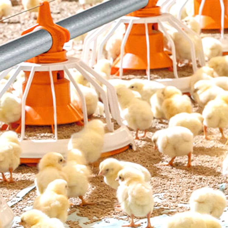 Longmu Poultry Equipment Co., Ltd.