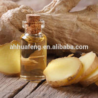 Ginger Oil, Plant Root Extract Ginger Oil, Factory Price with Top Quality