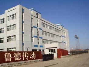 Dezhou Lude Transmission Co.,Ltd