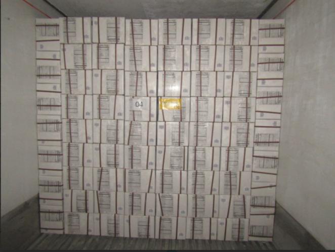 Camimex Vannamei Shrimp HO-PTO Breaded with Best Quality, Competitive Price and On-time Delivery