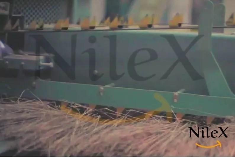 NileX Co. for Export