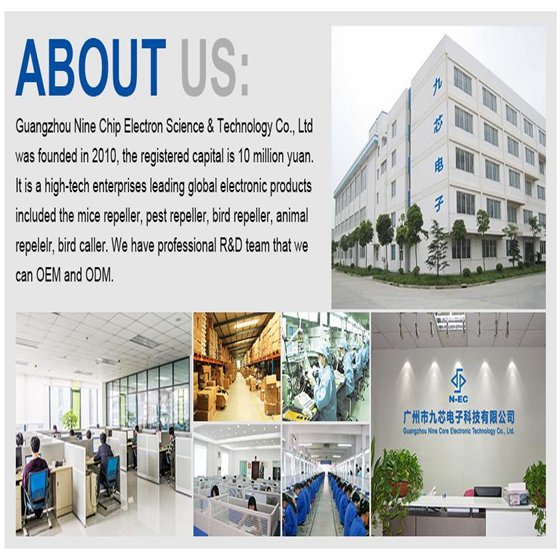 Guangzhou Nine Chip Electron Science & Technology Co., Ltd