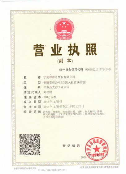 Ningxia Biyuan Activated Carbon Co.,Ltd.