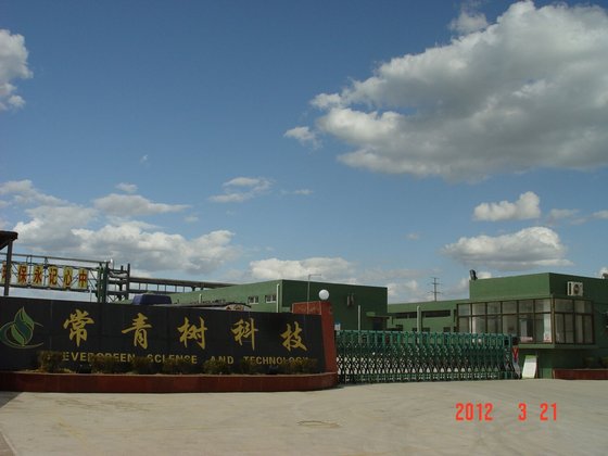 Jiangsu Evergreen New Material Technology Co Ltd