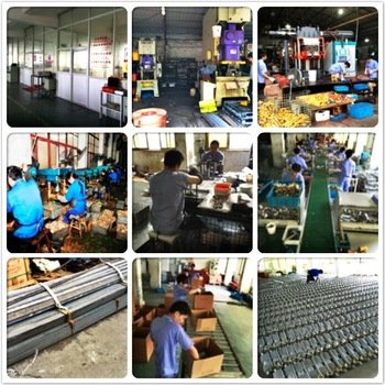 Zhejiang Farady Electric Co.,Ltd