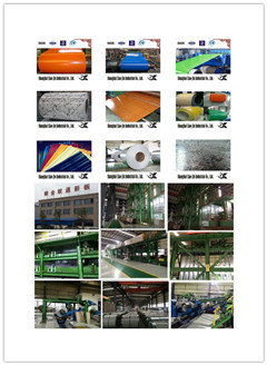 Shanghai Xiao Jin Industrial Co., Ltd 