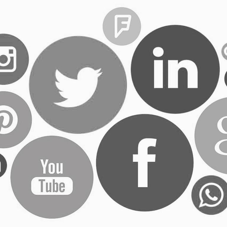 Idaho Falls SEO Raptor