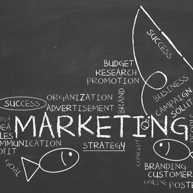 Idaho Falls SEO Raptor