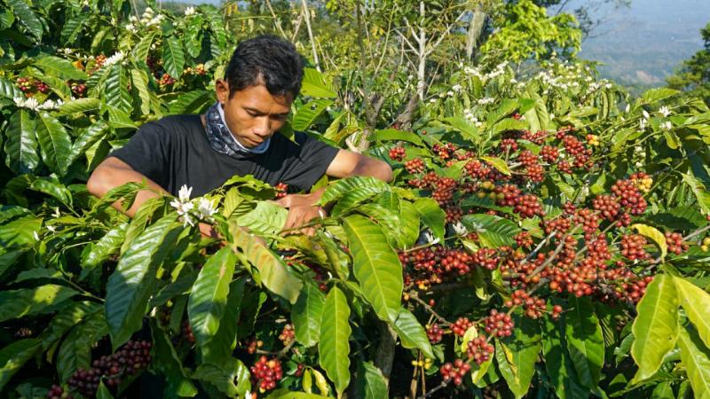 PT. Ryulia Barokah Jaya Trade