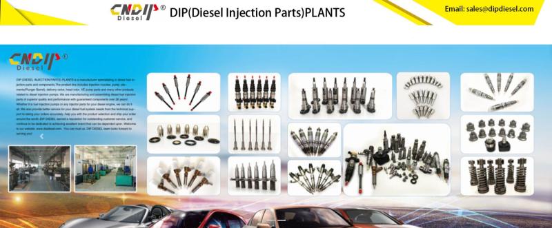 Dip  Diesel Injection Parts  Plants