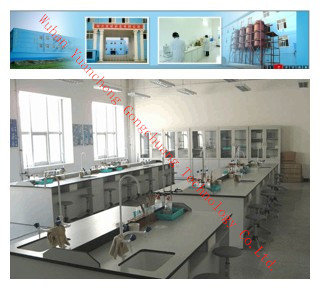 Wuhan Yuancheng Gongchuang Technology Co.Ltd.