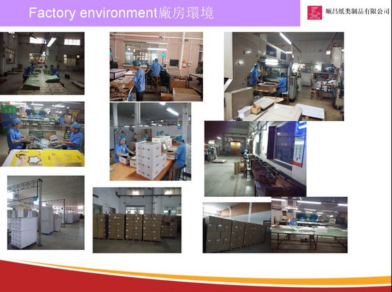 Foshan Shunde Shunchang Paper Products Co Ltd 