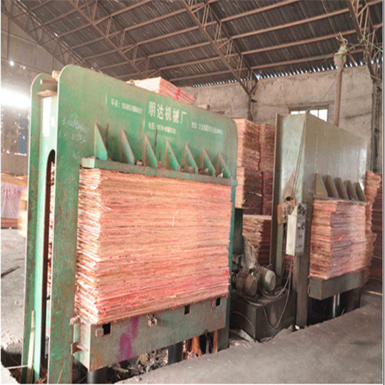 Feixian Hongyun Plywood Factory