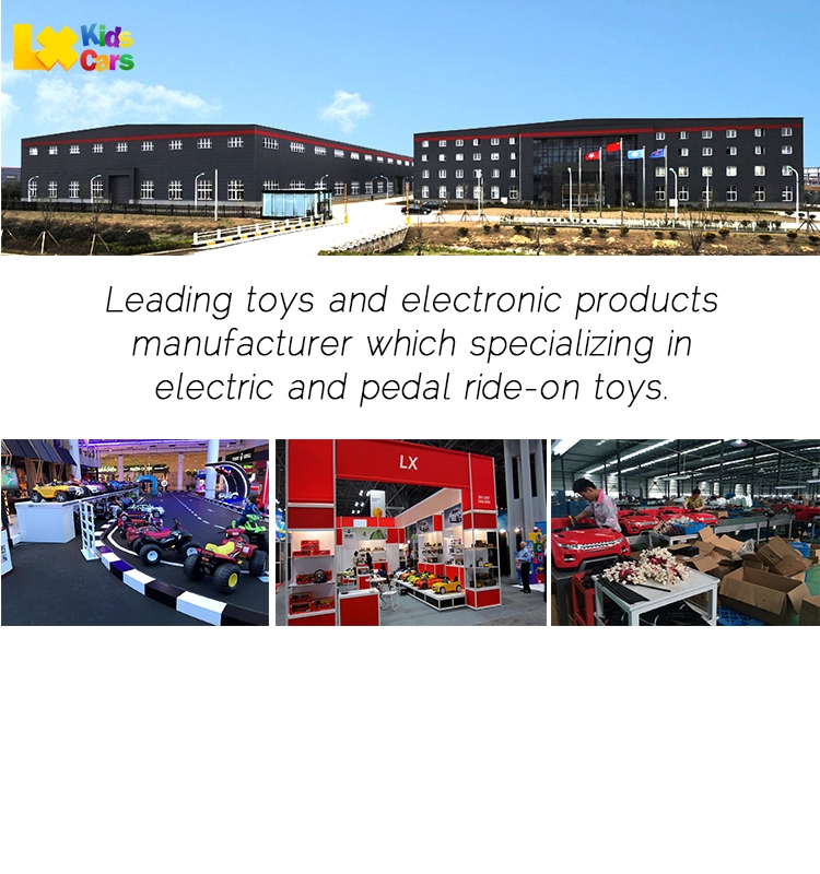 Hebei Laixing Electronics Technology Co.,Ltd