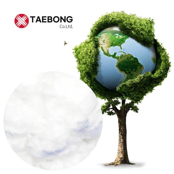 Taebong Co., Ltd.