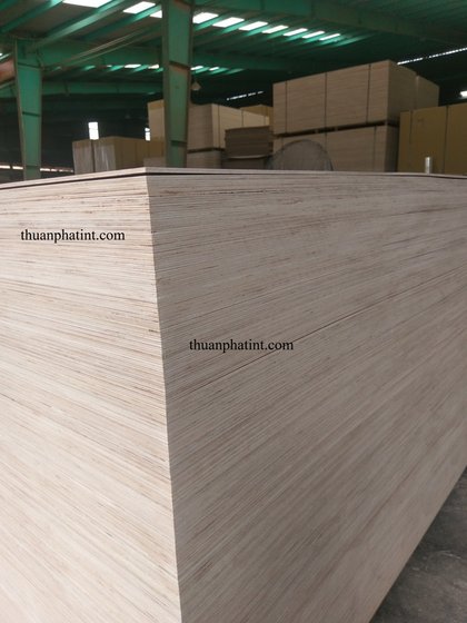 Thuan Phat International Company Limited - Plywood - EC21 Mobile