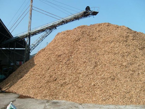 Nam Long Biomass Company Limited