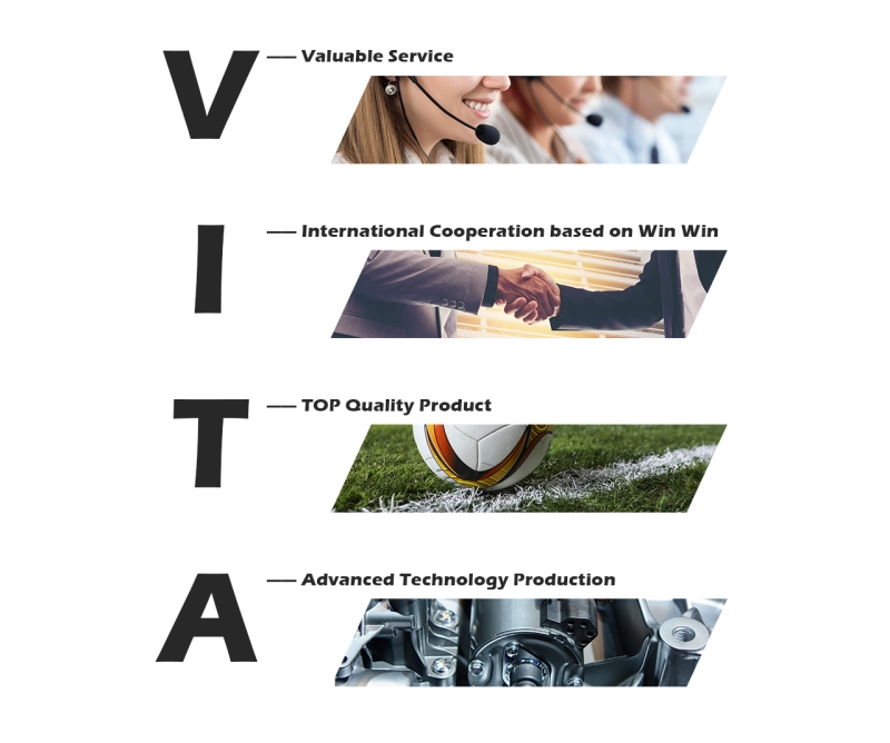 Vita Artificial Grass Industry Limited.