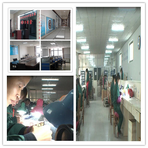 Shijiazhuang Wanlixin Industrial and Trade Co.,Ltd