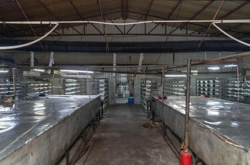 Wuqiang Xinlong Techology Co., Ltd.