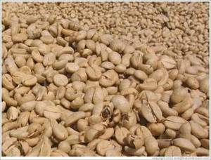 Wholesale Bean Products: Cocoa,Coffee,Cowpea,Yellow Corn (680162352)