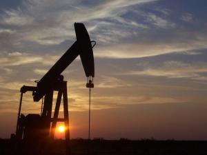 Wholesale Crude Oil: Petroleum