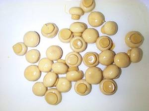 Wholesale canned mushroom: Canned Mushrooms