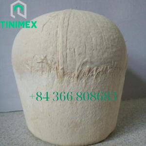 Wholesale polish: SUPPLIER SEMI POLISHED FRESH COCONUT YOUNG FROM VIETNAM ( WhatsApp: 0084366808683)