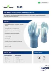 Wholesale banking: Showa Gloves
