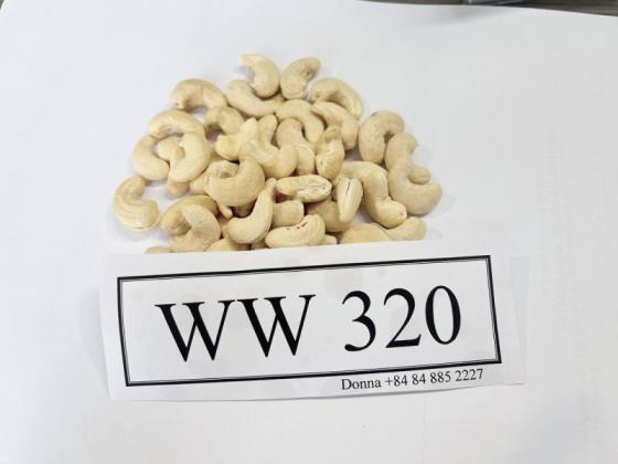 Sell cashew nut / salted roasted cashews