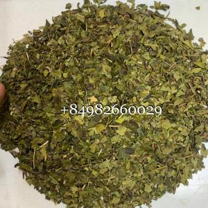 Wholesale good price &: Green Tea Loose Leaf Pure Leaves Good Taste Best Selling and Cheap Price From FULMEX 0084982660029