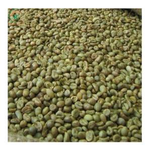 Wholesale coffee beans: Green Beans Coffee Vietnam