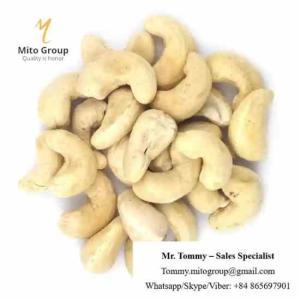 Wholesale max: Free Samples Cashew Nut Raw Bulk Cashews W320 W240 W180 Raw Cashew Nuts FREE TAXES